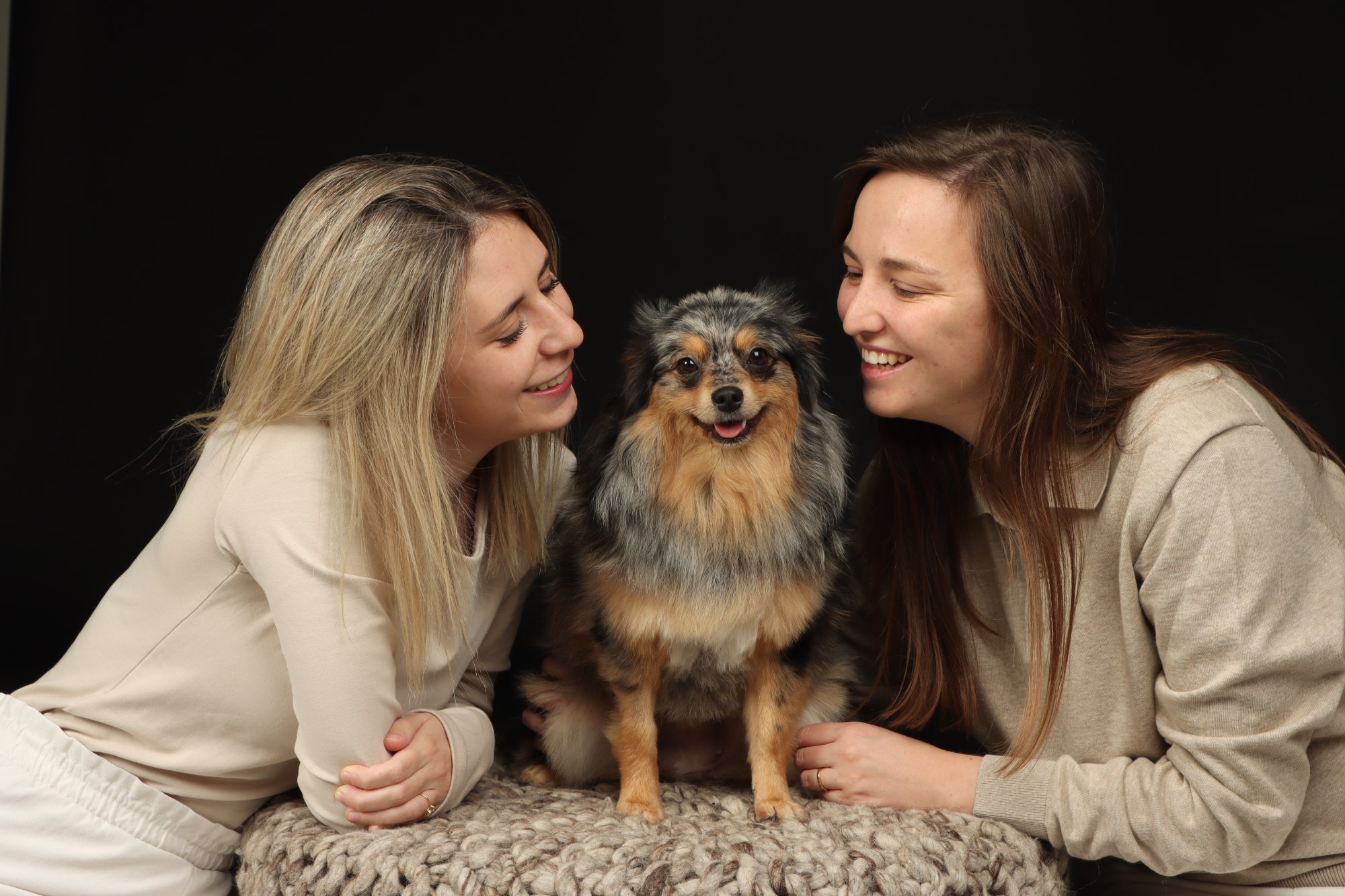 Huisdierenfotografie — Foto Luts Geel